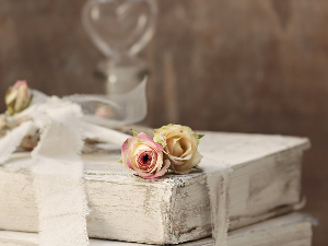 У друштву песника