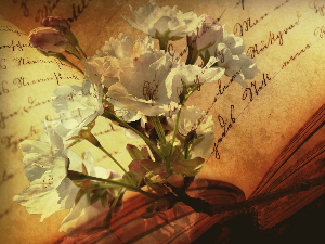 У друштву песника