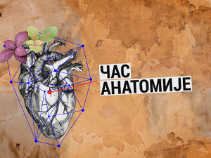 Час анатомије: У тренду