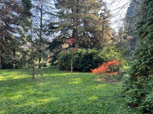 Бележница 27 : Шуме