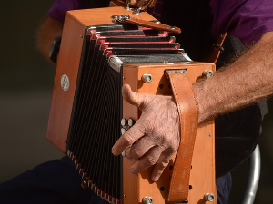 Компас - Француска хармоника