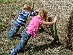 Дечји рад - где је граница између помоћи породици и тешких злоупотреба