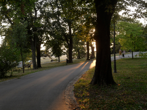 Сунчана субота, температура до 31 степена