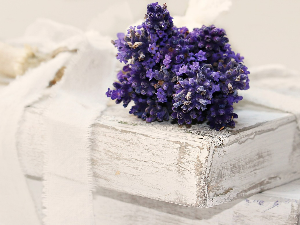 У друштву песника