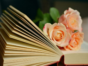 У друштву песника