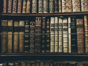 У друштву песника