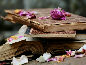 У друштву песника