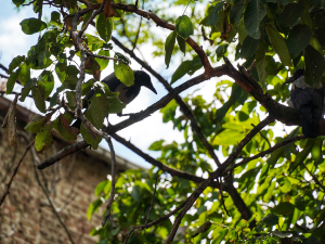 Још један сунчан и топао септембарски дан 