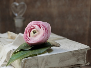 У друштву песника