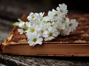 У друштву песника