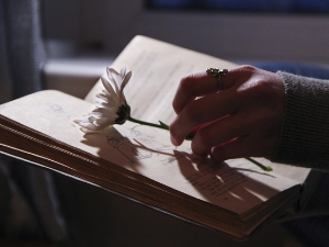 У друштву песника