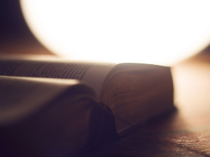 У друштву песника