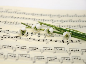 Вокални ансамбли - The Norman Luboff choir