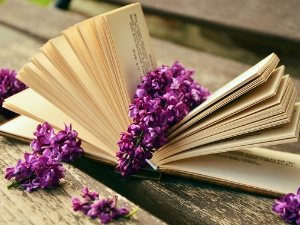 У друштву песника