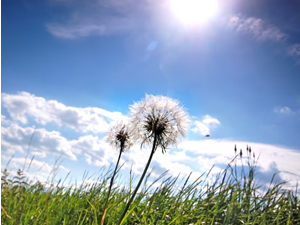 Свеже јутро подсећа нас да је јесен, температуре летње - до 28 степени 