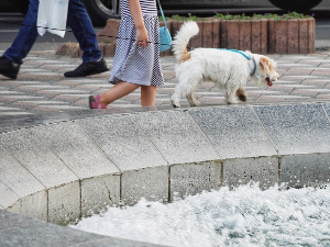 Још један сунчан септембарски дан – температура до 29 степени