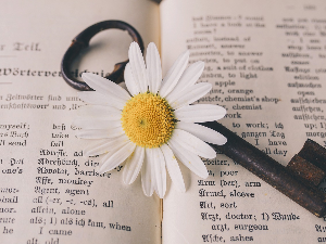 У друштву песника