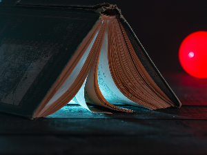 У друштву песника