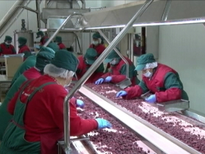 Профит против радничких права – између жалби и компликовaних процедура