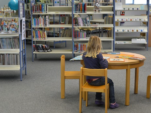 Професор Јерков: Ако нам деца не буду писмена, биће половични људи и тачка