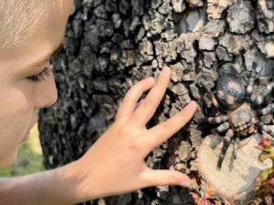 Еко минијатуре: Зоофобија - паукови