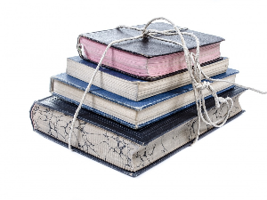 У друштву песника