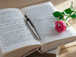 У друштву песника