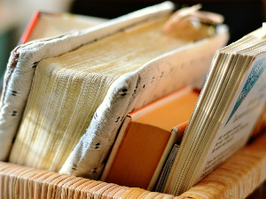 У друштву песника