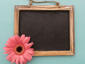 Портрет - Група „Амбасадори“