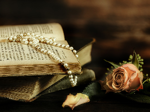 У друштву песника