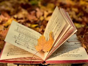 У друштву песника