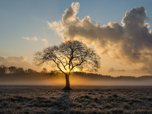 Јутро хладно са слабим мразом, током дана сунчани интервали