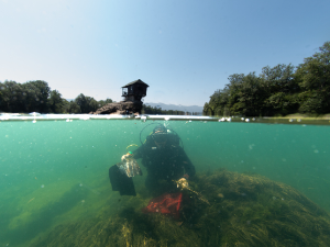 Чишћењем Аде Циганлије завршена четврта сезона пројекта "Волим реку, а ти?"