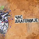  Час анатомије: Ко је уметник ?
