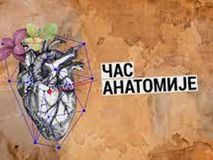  Час анатомије: Ко је уметник ?