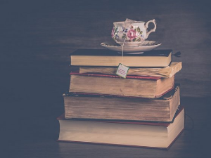 У друштву песника