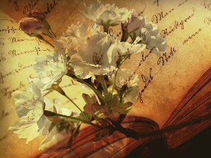 У друштву песника