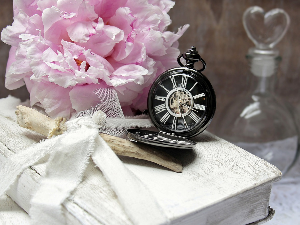 У друштву песника