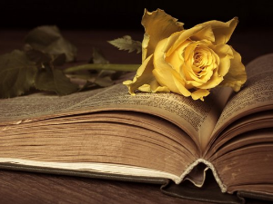 У друштву песника