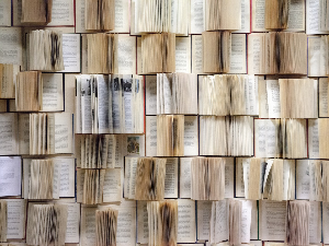 У друштву песника