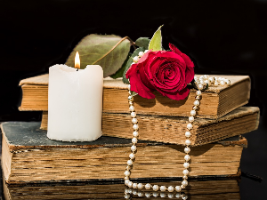 У друштву песника