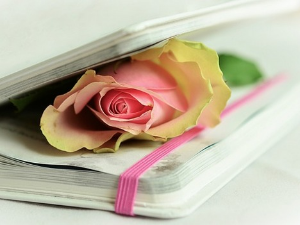 У друштву песника