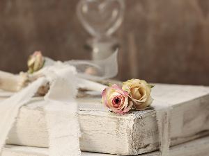 У друштву песника