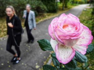 Први новембарски дан сунчан, крајем дана наоблачење