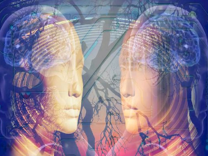 Наука 2023: Неуронауке