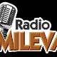 Радио Милева, 7.еп, 1С 