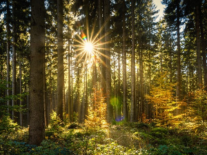 И даље михољско лето, али стиже наоблачење