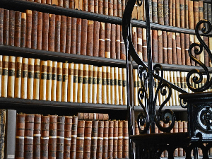 У друштву песника