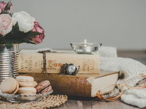 У друштву песника