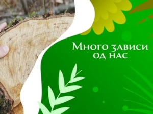 Еко минијатуре: Много зависи од нас – Зорица Милошевић